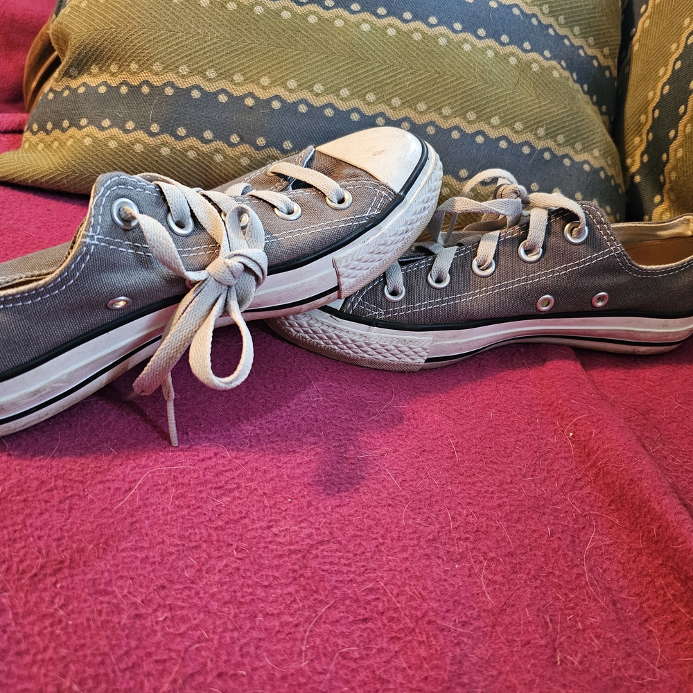 Converse Gray Low-Top Sneakers